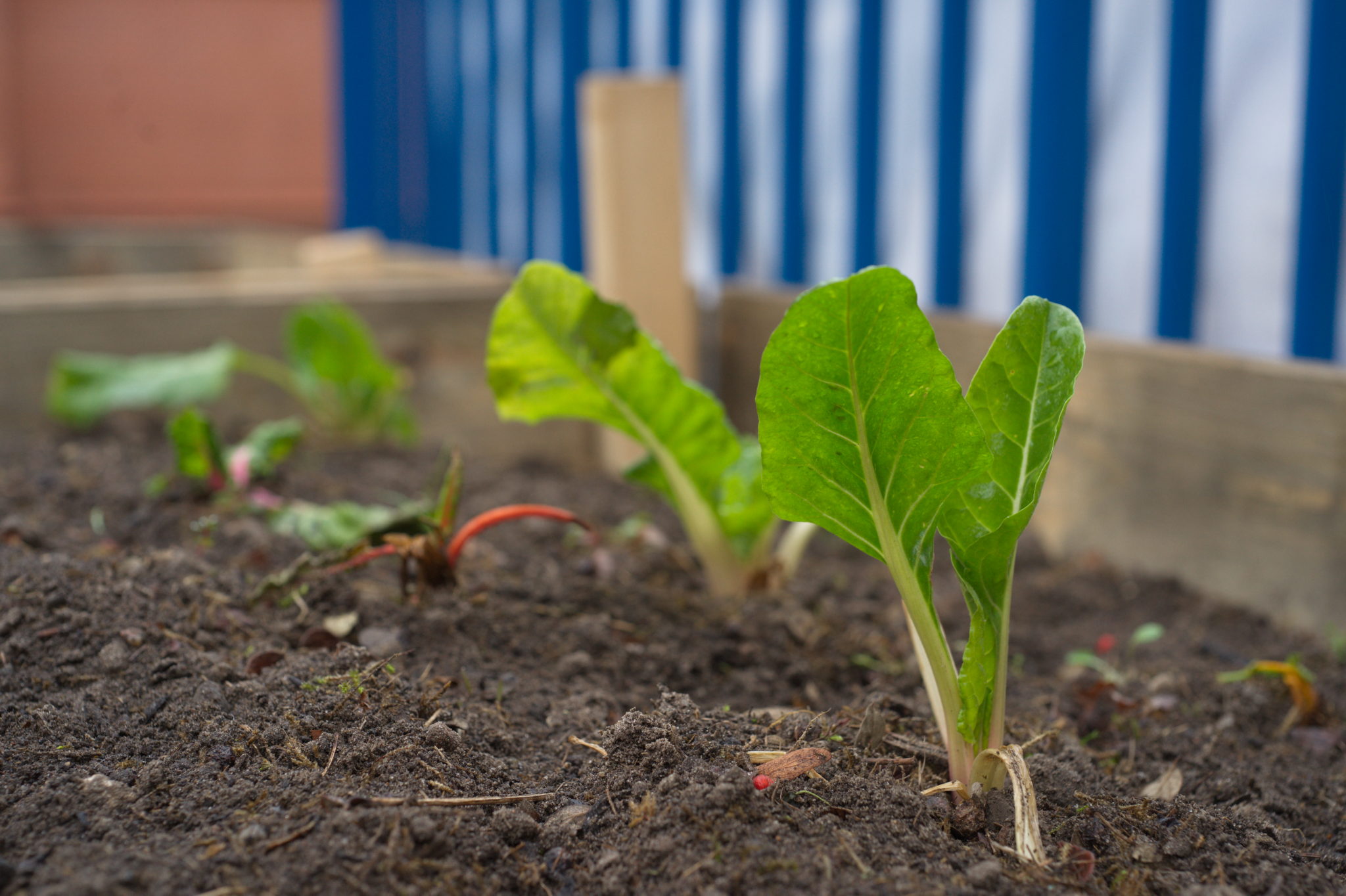 20210228  Gruen(t)raumHeimfeld 016